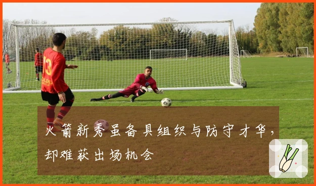 火箭新秀虽备具组织与防守才华，却难获出场机会