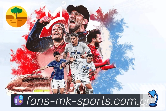 安全访问 - 加密登录与稳定线路